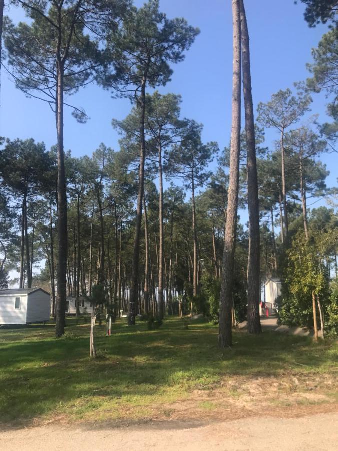 Escape Mobilhome Aux Dunes De Contis Saint-Julien-en-Born Exterior foto